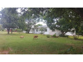 farm-house-for-sale-in-lusaka-west-small-8