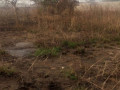 plots-for-sale-in-lusaka-west-small-2