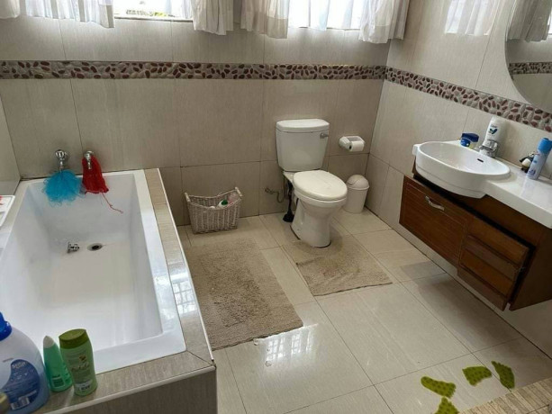 executive-4-bedroom-farm-house-on-5-acre-plot-big-7