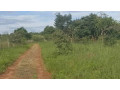 3-bedroom-house-for-sale-in-lusaka-west-small-4