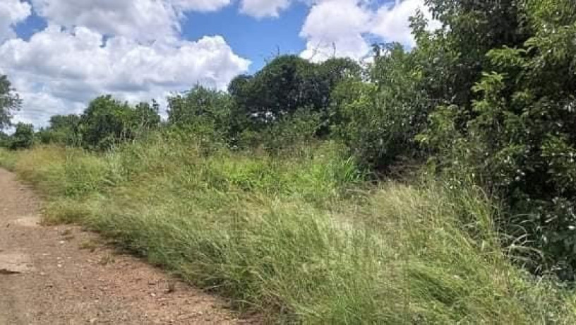 5-acre-land-for-sale-in-lusaka-west-big-0