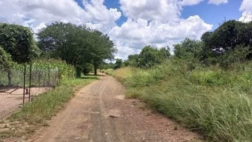 5-acre-land-for-sale-in-lusaka-west-big-2