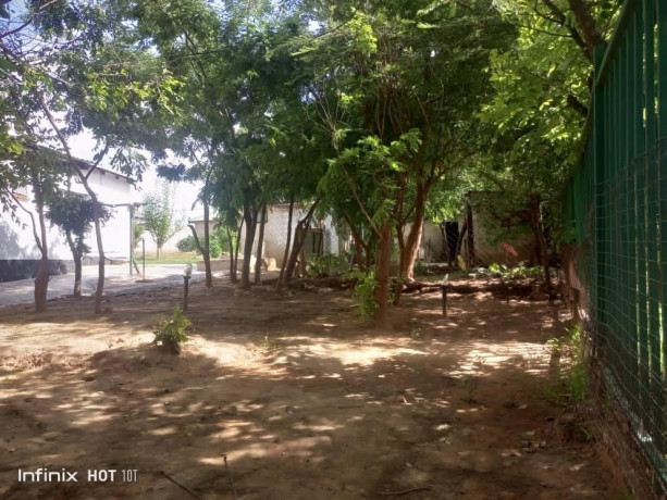 3-bedroom-house-for-sale-in-zanimuone-west-big-5
