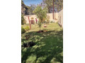 3-bedroom-house-for-rent-in-new-kasama-small-0