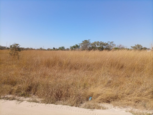 plot-for-sale-in-silverest-big-2