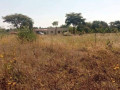 land-for-sale-in-silverest-small-0