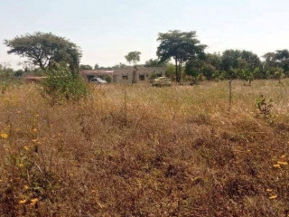 Land For Sale In Silverest