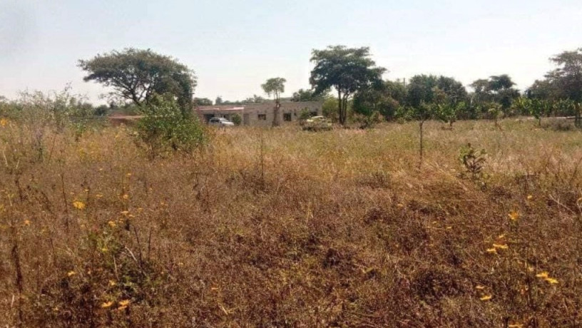 land-for-sale-in-silverest-big-0