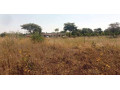 land-for-sale-in-silverest-small-0