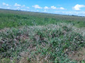 10-acres-land-for-sale-along-mumbwa-road-small-1