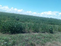 10-acres-land-for-sale-along-mumbwa-road-small-2