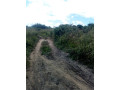10-acres-land-for-sale-along-mumbwa-road-small-0