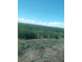 10-acres-land-for-sale-along-mumbwa-road-small-2