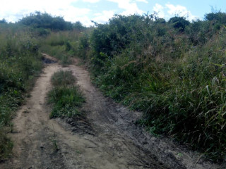 10-acres-land-for-sale-along-mumbwa-road