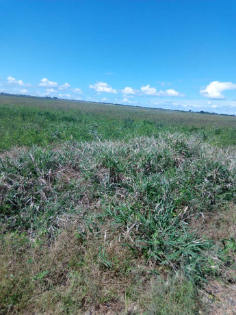 10-acres-land-for-sale-along-mumbwa-road-big-1