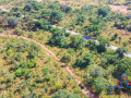 1-acre-road-front-plot-for-sale-in-palabana-small-3