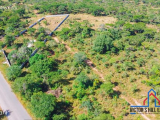 1 Acre Road Front Plot for Sale in Palabana