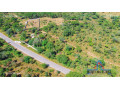 1-acre-road-front-plot-for-sale-in-palabana-small-2