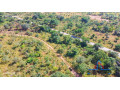 1-acre-road-front-plot-for-sale-in-palabana-small-3