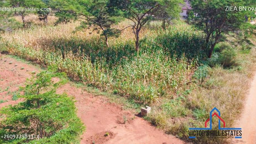 1-acre-plot-for-sale-in-makeni-big-4