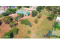 1-acre-plot-for-sale-in-makeni-small-0