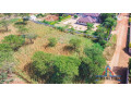 1-acre-plot-for-sale-in-makeni-small-3