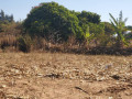 56-acres-land-for-sale-in-kasupe-small-8