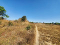 56-acres-land-for-sale-in-kasupe-small-9