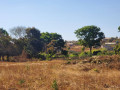 56-acres-land-for-sale-in-kasupe-small-3