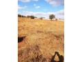 residential-plot-for-sale-in-ibex-main-small-4