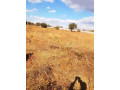 residential-plot-for-sale-in-ibex-main-small-2
