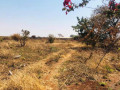 5-acre-land-for-sale-in-makeni-small-4