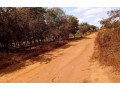 plot-for-sale-in-chalala-small-1