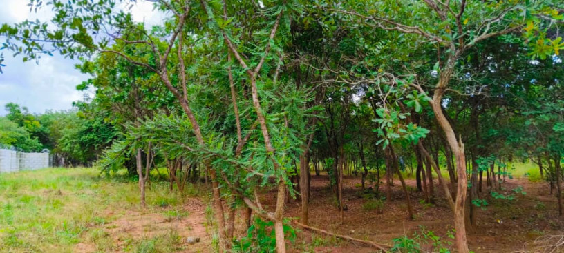 two-1000sqm-plots-for-sale-in-meanwood-ibex-big-2