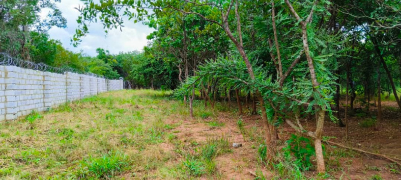 two-1000sqm-plots-for-sale-in-meanwood-ibex-big-4