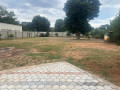 2000-square-metres-of-land-for-sale-in-woodlands-main-small-2