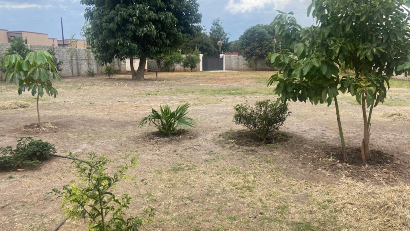 2000-square-metres-of-land-for-sale-in-woodlands-main-big-1