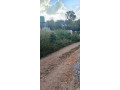 30m-x-20m-land-for-sale-in-meanwood-ibex-small-1