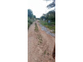 30m-x-20m-land-for-sale-in-meanwood-ibex-small-4