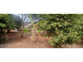 3-bedroom-house-for-sale-in-woodlands-small-1
