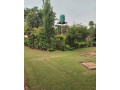 3-bedroom-house-for-rent-in-woodlands-small-3