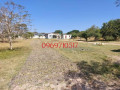 4-bedroom-double-storey-house-in-state-lodge-with-road-frontage-small-4