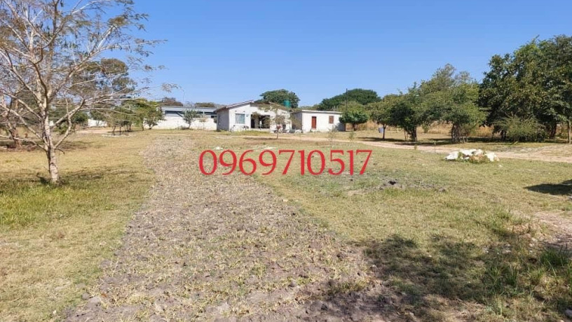 4-bedroom-double-storey-house-in-state-lodge-with-road-frontage-big-4