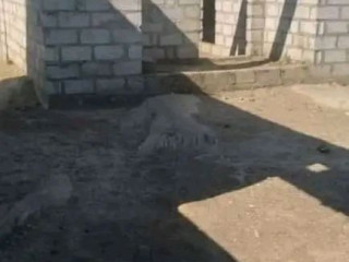 lusaka-west-plot-in-kalundu-area