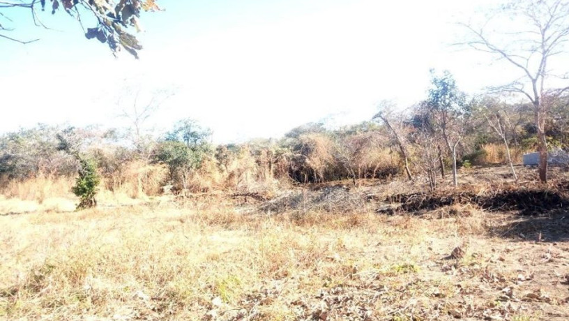 residential-plot-for-sale-in-chilanga-big-0