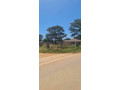corner-plot-for-sale-in-meanwood-ibex-small-1
