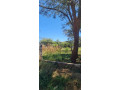 corner-plot-for-sale-in-meanwood-ibex-small-2