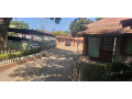 beautiful-home-in-prime-location-small-3