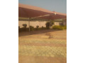 four-bedroom-house-with-borehole-small-2