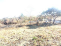 residential-plot-for-sale-in-chilanga-small-0